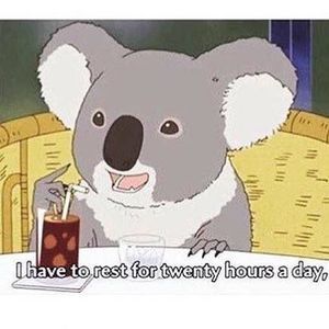 Meet your Posher, Dae